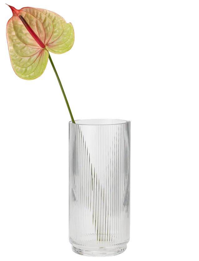 Stelton Pilastro vase en verre 21 cm transparent