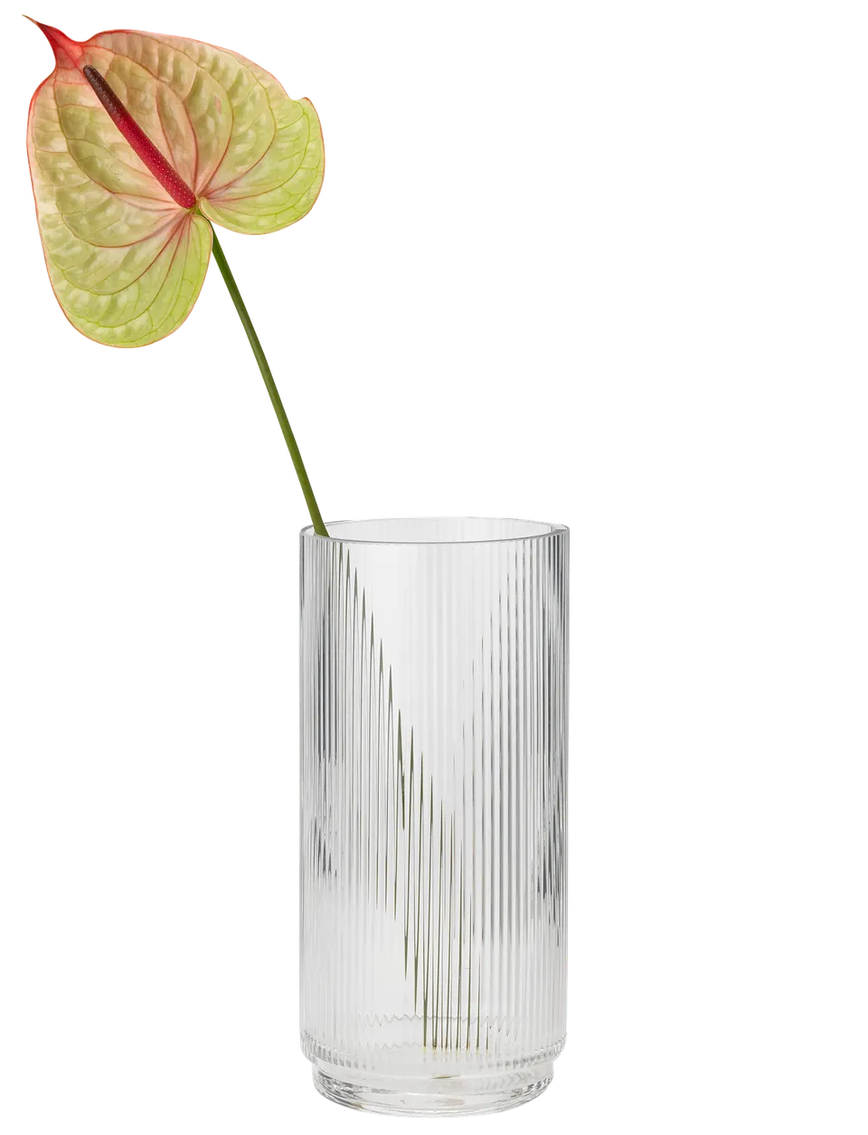 Stelton Pilastro vase en verre 21 cm transparent