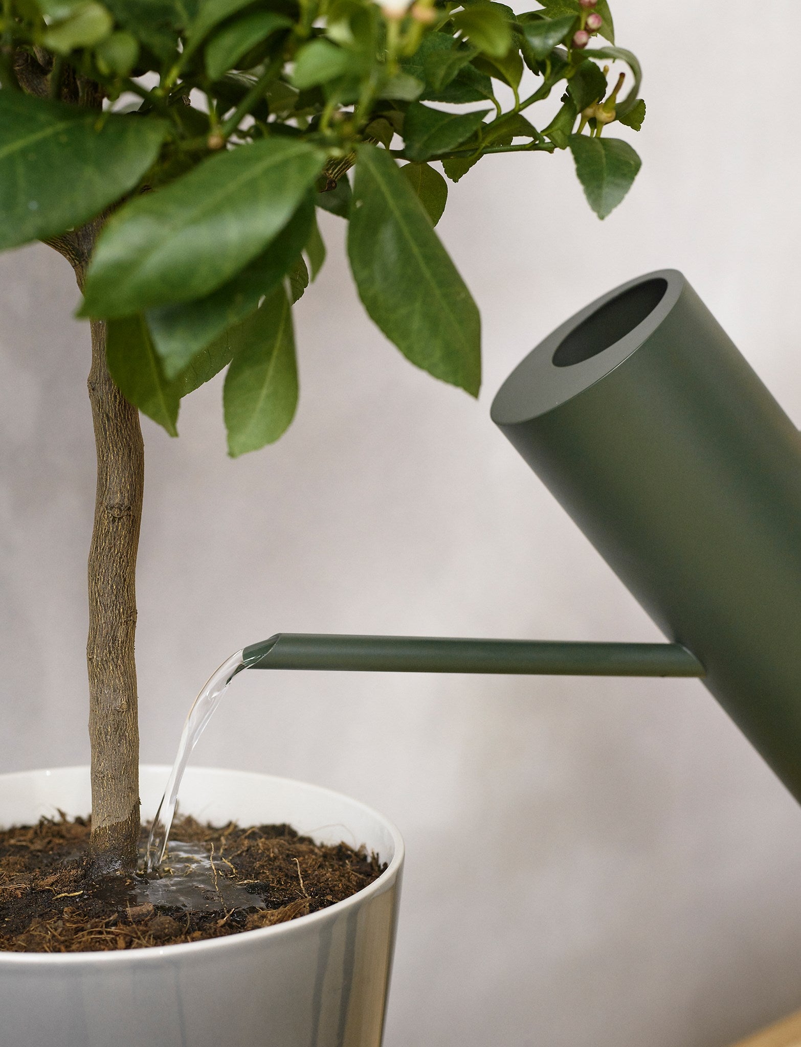 Stelton Classic Bloom arrosoir 2 L vert