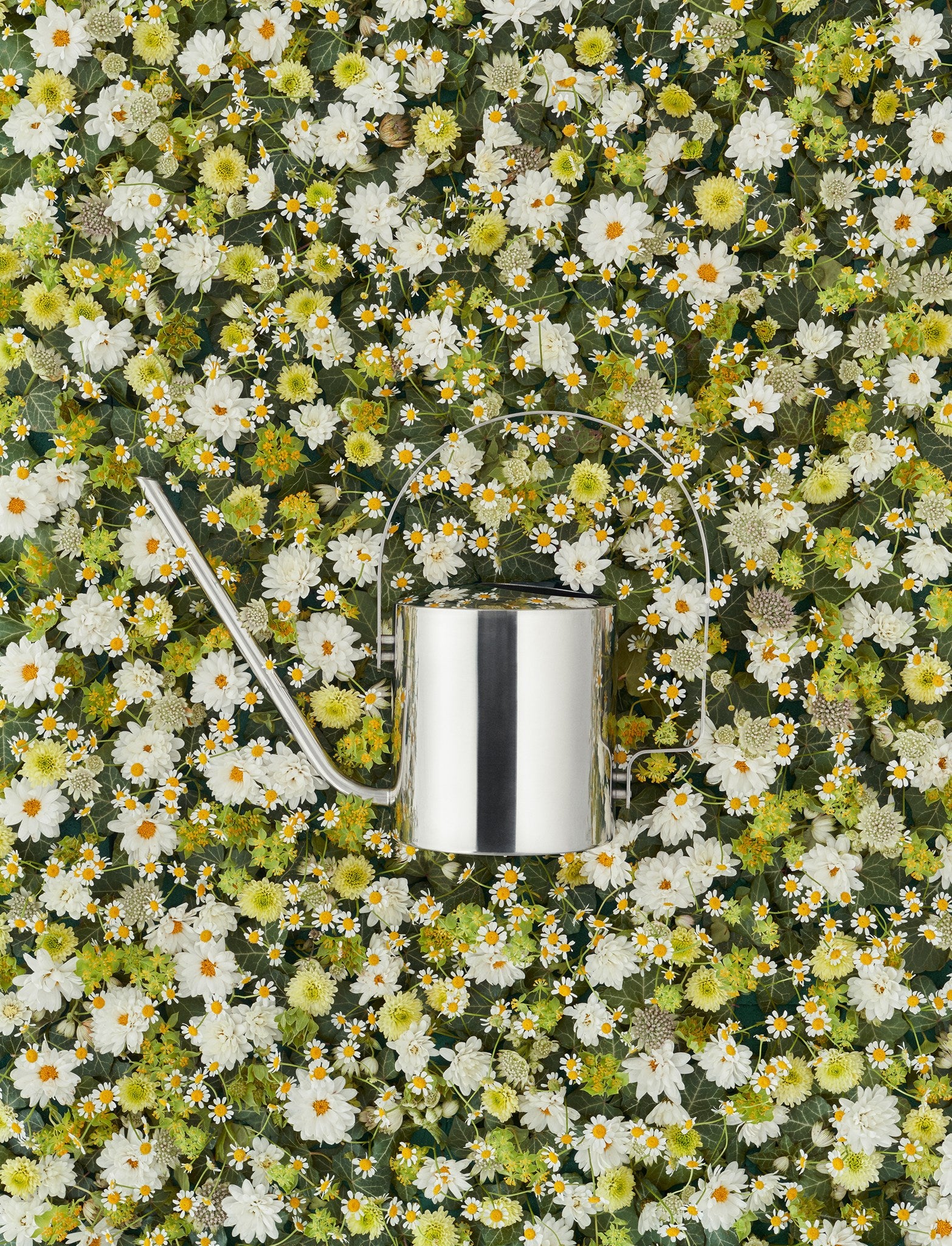 Stelton Original arrosoir fleurs 1,7 L acier Holmblad