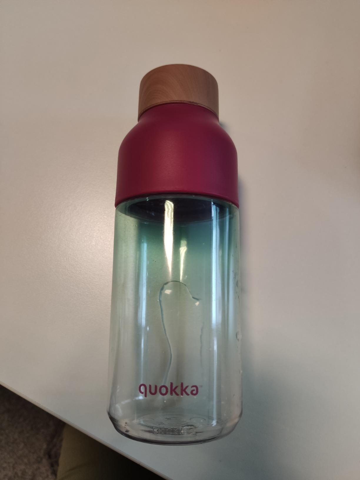 Quokka Ice ST-06921 bouteille Tritan transparent