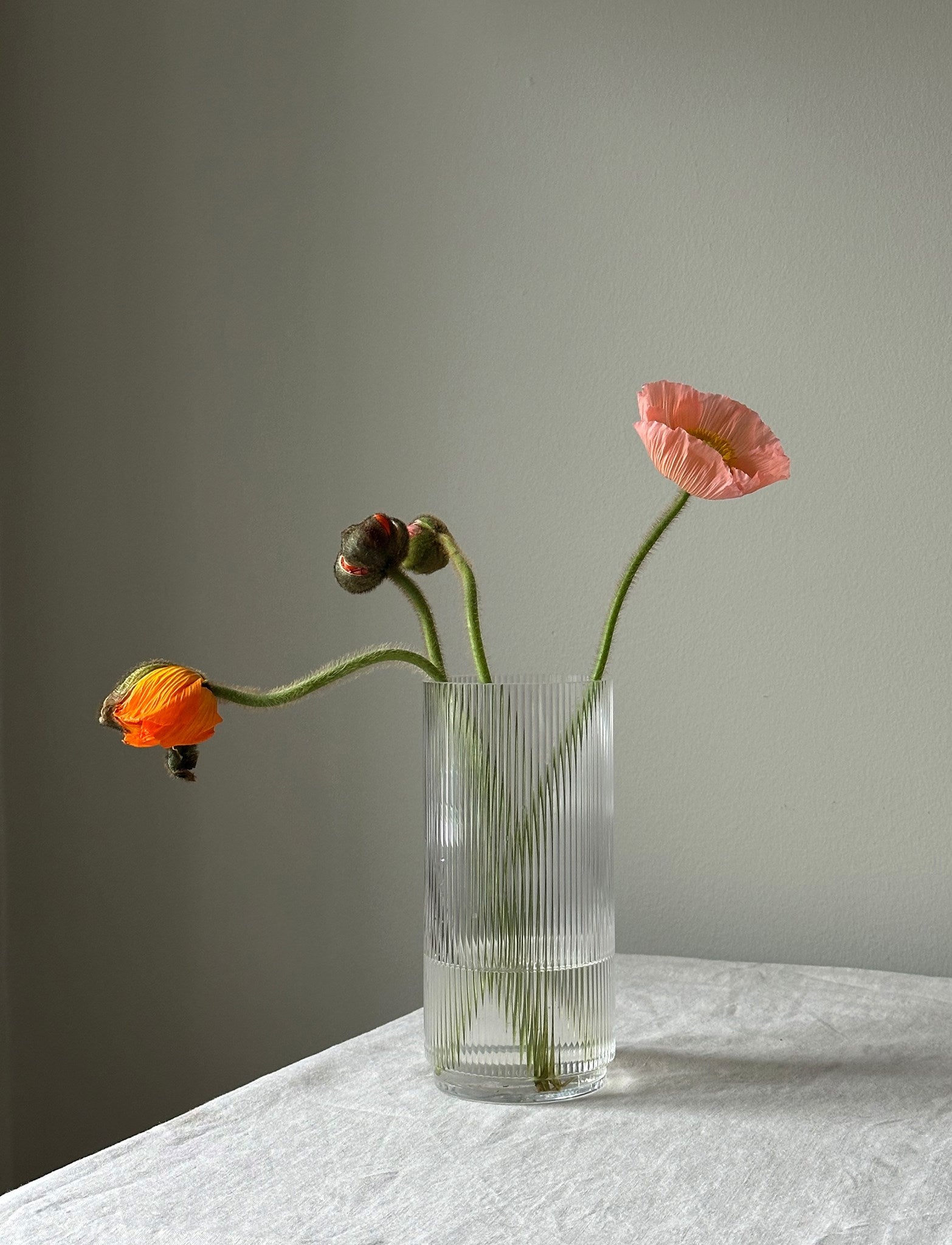 Stelton Pilastro vase en verre 21 cm transparent