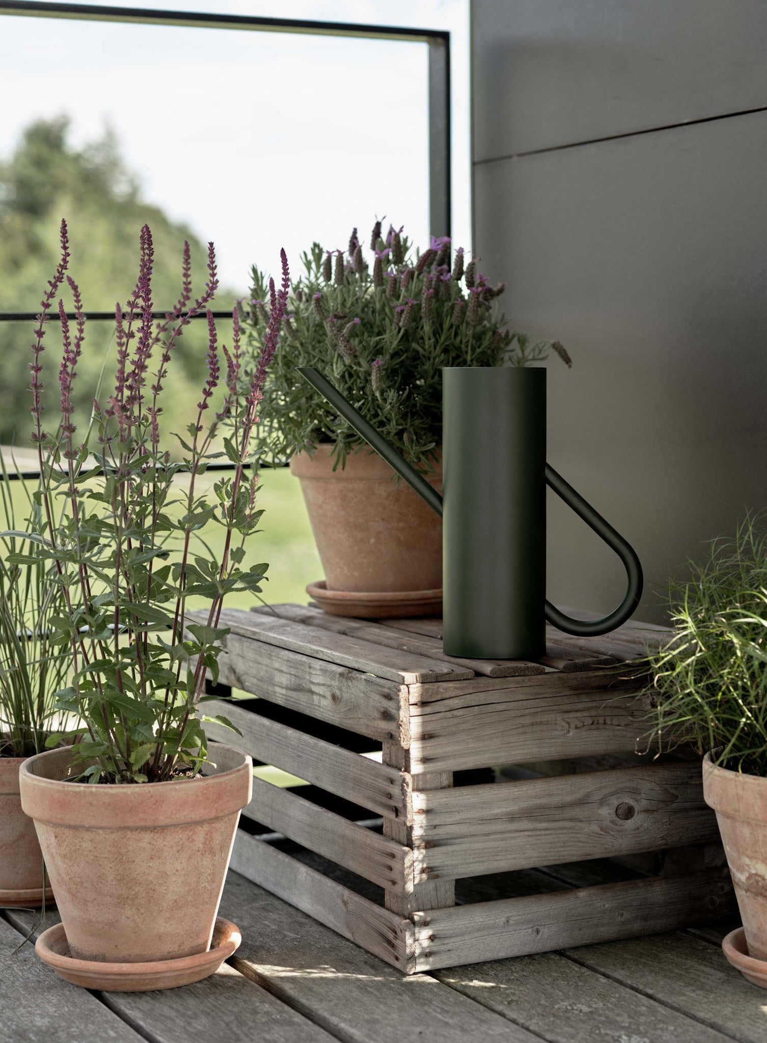 Stelton Classic Bloom arrosoir 2 L vert
