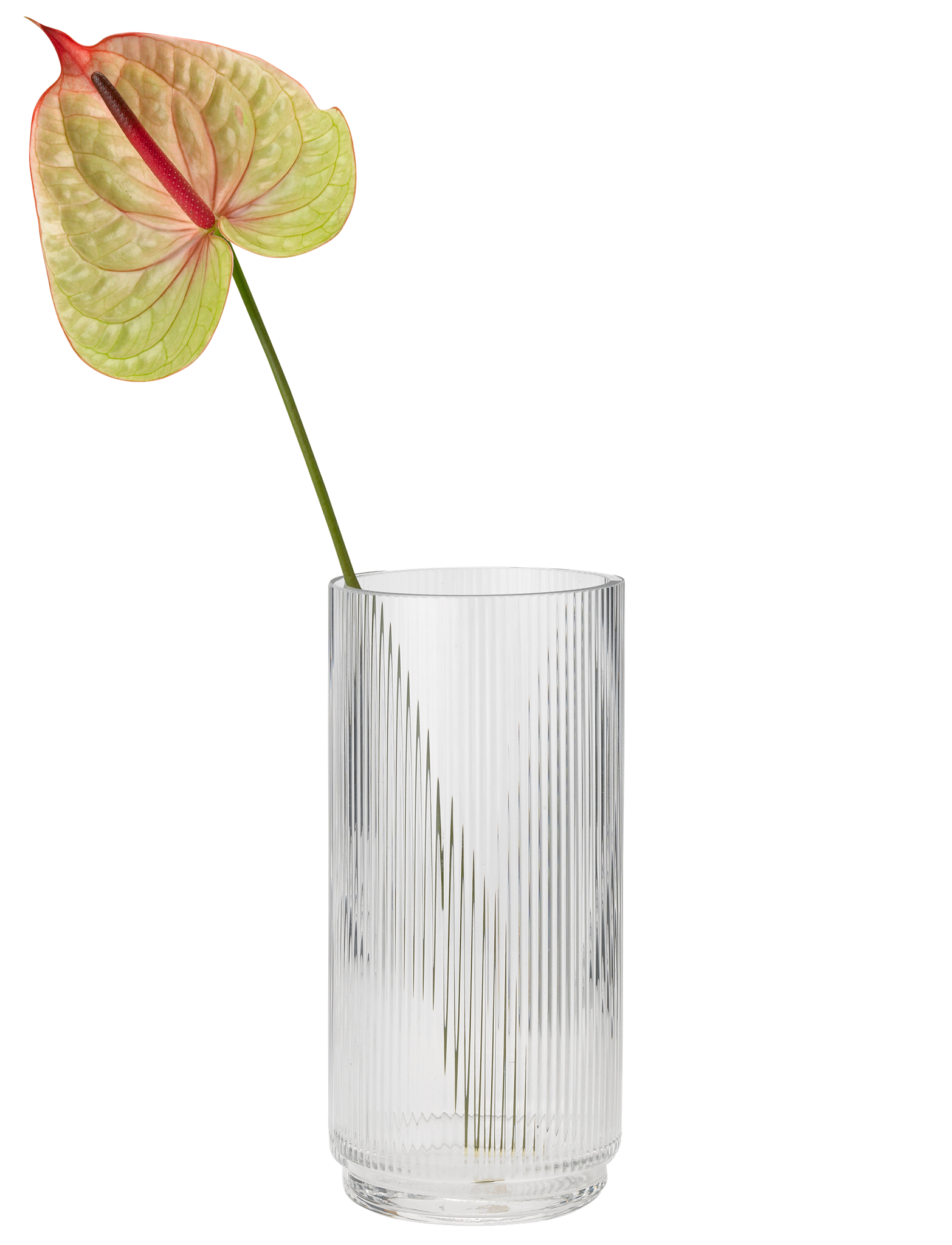 Stelton Pilastro vase en verre 21 cm transparent