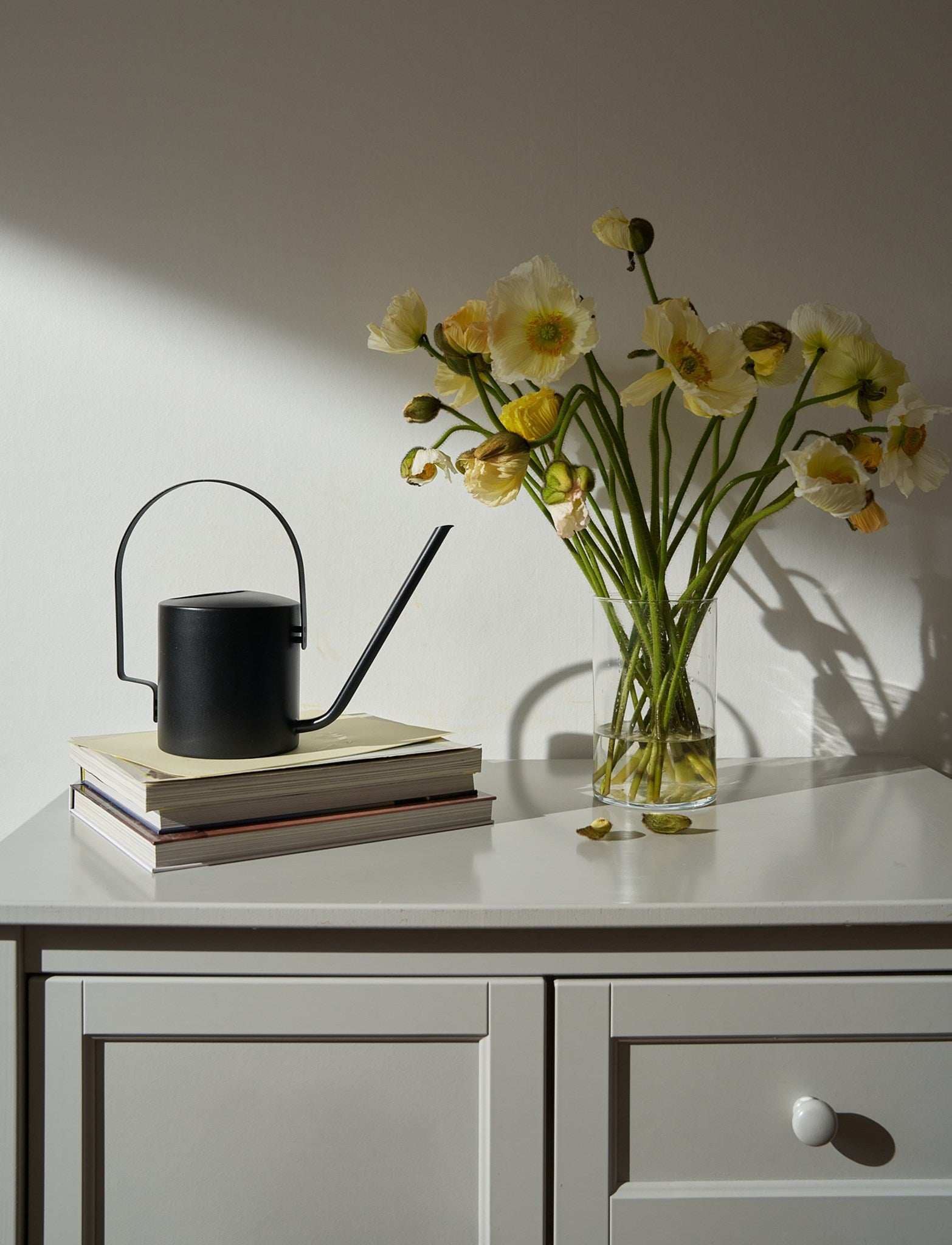 Stelton Original arrosoir fleurs 1,7 l