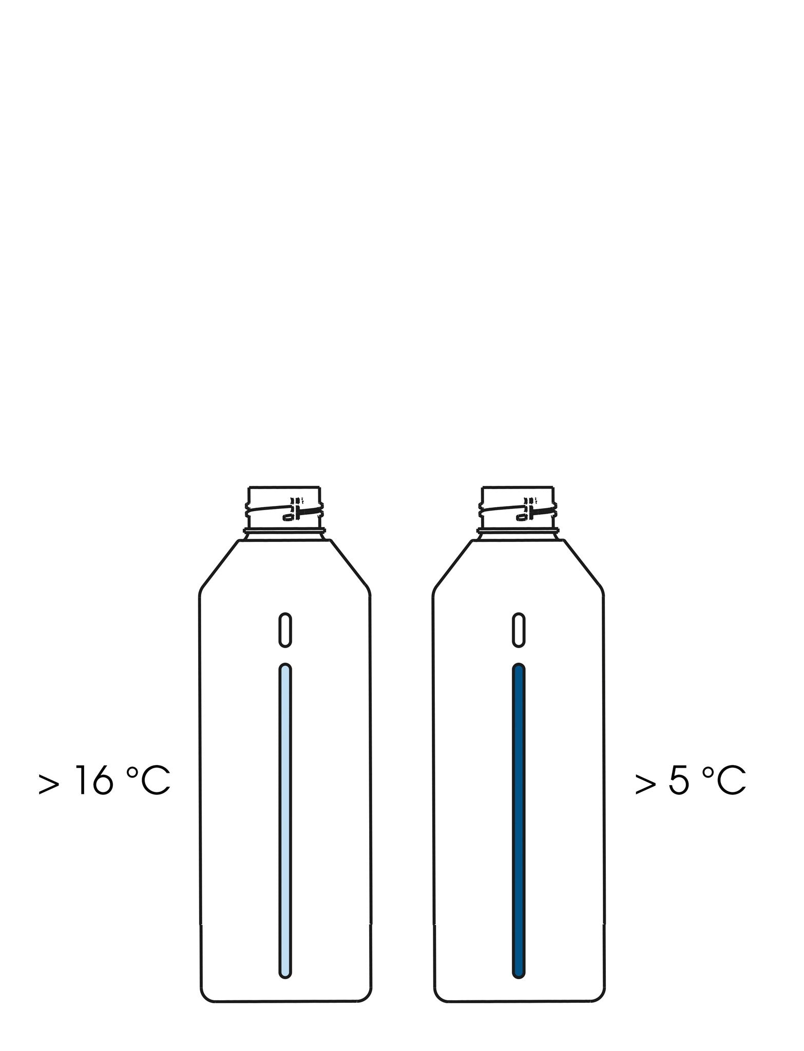 Stelton Brus bouteille gazéifiée inox 1200 ml